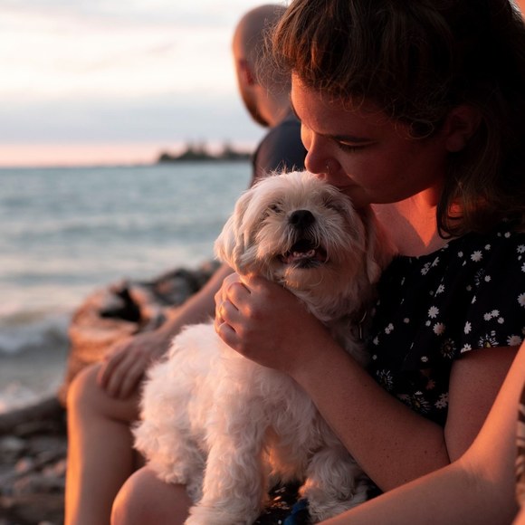 Meet your Posher, Kylea - Picture 1 of 1